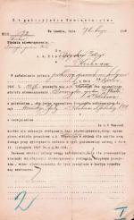 Pismo CK Namiestnictwa we Lwowie zatwierdzające rejestrację Towarzystwa Sportowego Wisła, 7 lutego 1910 r.