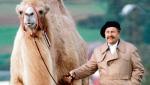 Dwugarbny wielbłąd Czesio to filmowa gwiazda: w 2000 roku wystąpił w „Dużym zwierzęciu” w reżyserii Jerzego Stuhra
