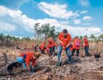 Firmowi wolontariusze z PKN Orlen pomagali w utworzeniu prawie 14 arów łąk kwietnych w pobliżu zakładu produkcyjnego koncernu w Płocku