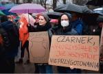 Demonstracja pod Sejmem Inicjatywy Wolna Szkoła w czasie obrad nad nowelizacją ustawy 