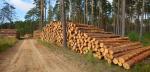 Bez drewna z Rosji jesteśmy sobie w stanie poradzić – twierdzą meblarze