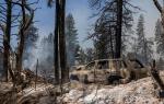 Kalifornię dotknęły ostatnio susze i pożary. Na zdjęciu park narodowy Yosemite