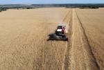 Spadkom cen żywności sprzyjają bardzo dobre prognozy dotyczące zbiorów pszenicy, m.in. w USA i Australii