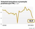 Z ankiety, na której bazuje wskaźnik PMI, wynika, że w sierpniu polskie firmy przemysłowe odnotowały najgłębszy od maja 2020 r. spadek wolumenu zamówień i produkcji. Firmy część popytu są w stanie zaspokoić, czerpiąc z zapasów.