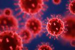 Nowa folia niszczy wirusa Covid-19 w godzinę