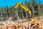 Rezygnacja z certyfikatów FSC w Lasach Państwowych mocno uderzy nie tylko w branżę meblarską, ale i cały przemysł drzewny.