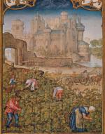 Wrzesień: zbiór wina (ilustracja z „Breviarium Grimani”, ok. 1515 r.)