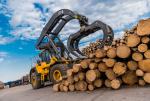 Szybujące ceny drewna demolują drzewny biznes