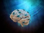 Paradromics połączy mózg z komputerem – firma w 2024 r. ruszy z badaniami klinicznymi na ludziach