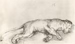 Grafika „Leżąca lwica” Albrechta Dürera zaginęła w czasie II wojny światowej