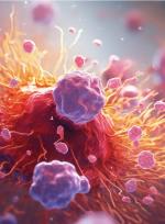 Nowe badanie pozwala szybko wykryć komórki rakowe
