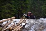 Donald Tusk zapowiedział współpracę z leśnikami, strażnikami ochrony przyrody, pracownikami parków narodowych, a także zmiany w przedsiębiorstwie Lasy Państwowe