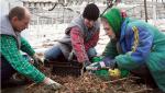 Ukraińscy pracownicy w jedym z gospodarstw rolnych