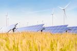 Ważną częścią KPO są inwestycje w zieloną energię i zmniejszenie energochłonności