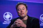 Elon Musk zwalcza OpenAI, twórcę ChatGPT, gdzie tylko może. To pogoń za ideałami czy tylko żal za straconą okazją biznesową?