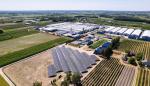 PepsiCo planuje inwestować we własne źródła odnawialnej energii, opierając się na farmach fotowoltaicznych oraz wiatrowych