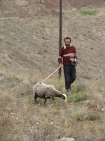 Pasterz na Wielkiej Pustyni Słonej