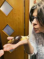 Prof. dr hab. Joanna Jurewicz – indolożka, lingwistka kognitywna, poetka i pisarka. Interesują ją sposoby, w jakie ludzie myślą, zwłaszcza powstawanie pojęć abstrakcyjnych, a także sposoby, w jakie myślenie wyrażane jest w znakach. Jej źródłem badań są najstarsze teksty filozoficzne indyjskie wyrażone w sanskrycie (ok. XIII w. p.n.e. – IV w. n.e.), ale także współczesne teksty kultury. Jest autorką czterech monografii na temat historii idei w najstarszej myśli indyjskiej filozoficznej i wielu artykułów naukowych. Obecnie pracuje nad kolejną. Zdobyła siedem grantów badawczych, efektem ostatniego grantu zespołowego jest pierwszy polski przekład Ksiąg Bitewnych Mahabharaty (ok. 30 tys. strof); to trzeci tak duży przekład tego eposu na język europejski. Za swoje osiągnięcia była uhonorowana Nagrodą Prezesa Rady Ministrów (2011) i Distinguished Scholar Award ufundowaną przez Indian Council For Cultural Relations (2023) oraz członkostwem w prestiżowym międzynarodowym towarzystwie naukowym Academia Europaea. Wydała dwa tomiki wierszy („Róża” i „Kołowrót”) oraz dwie powieści („Ślady i kręgi”, „Dzieci Gangi”)