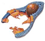 rys. Mirosław Owczarek