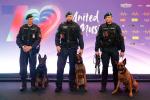 Do ochrony finału Eurowizji będą skierowane specjalne oddziały policji