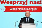 Jarosław Kaczyński zorganizował 13 maja konferencję o tragicznej sytuacji finansowej partiii PAP/Radek Pietruszka
