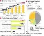 Polski rynek wody butelkowanej. Zaostrza się rywalizacja o konsumentów. W Polsce wodę produkuje ok. 160 firm. Prawie jedna czwarta z nich rozlewa więcej niż 10 mln l rocznie. Szansę na utrzymanie się na rynku mają tylko najwięksi gracze.  źródło: Euromonitor, Nielsen 