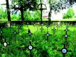 Cmentarz wojenny we wsi Łosie, na którym spoczywają żołnierze austro-węgierscy i rosyjscy