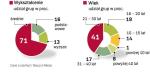 struktura nabywców UsŁug multimedialnych  