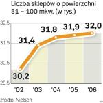 Małe sklepy nie tracą. Handel wielkopowierzchniowy ma w Polsce ok 50 proc. udziału w rynku. Resztę kontrolują tradycyjne sklepy i nawet bez specjalnej ustawy ich pozycja jest stabilna.