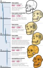 Jak przez miliony lat ewoluowaŁ czŁowiek. Stałym trendem było powiększanie się pojemności mózgoczaszki. Człowiek przyjął także pozycję wyprostowaną, stracił owłosienie na ciele. Zyskał zdolność artykulacji skomplikowanych dźwięków. Najszybciej zmianie ulegają te odcinki genomu, które są odpowiedzialne za pracę układu odpornościowego, mózgu oraz metabolizm.