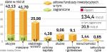 Aktywa zgromadzone w funduszach. Poważne skutki przeceny akcji. Środki zebrane przez polskie fundusze skurczyły się w listopadzie o 6,6 proc. (ponad 9,5 mld zł). Tylko w wyniku giełdowych spadków klienci TFI stracili 8 mld zł.