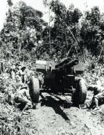 Wietnamskie działo ostrzeliwuje pozycje Francuzów