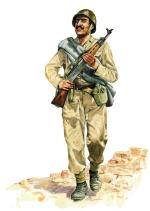 Szeregowy piechoty egipskiej w radzieckim hełmie stalowym, uzbrojony w szturmowy pistolet maszynowy AK-47 Kałasznikow