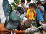 W Dżakarcie trwa akcja pobierania próbek krwi ptaków po śmierci młodej kobiety, która zaraziła się wirusem H5N1 od drobiu