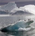 Rozmiar topnienia lodowców najlepiej widać w Grenlandii
