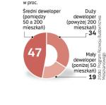 Mali i duzi deweloperzy