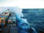 Obydwaj kapitanowie na mierzącym ponad 150 m długości statku-chłodni Polar Chile, należącym do Niemców, a zarejestrowanym w Liberii, to Polacy