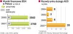 Producenci sprzĘtu rosnĄ razem z rynkiem. Firmy AGD zwiększają produkcję i przychody. Jednak spadające ceny urządzeń sprawiają, że trudno im poprawiać zyski. Producenci liczą, że w tym roku ceny sprzętu się ustabilizują.