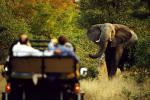 Turyści zwiedzający parki narodowe w Kenii nie muszą się obawiać, że staną się celem ataku walczących plemion