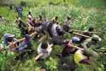 Przenoszenie zwłok górskiego goryla w Parku Narodowym Wirunga na wschodzie Konga; fot. Brent Stirton (RPA) Getty Images dla „Newsweeka”; I nagroda w kategorii „Świat współczesny – zdjęcie pojedyncze”