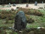 Kamienne megality na cmentarzysku kultury wielbarskiej w Grzybnicy