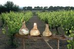 Starożytne naczynia do przechowywania wina odkryte na Cyprze