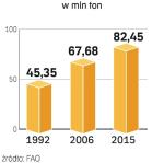 Uprawa bananów. Najbardziej wzrośnie produkcja w Azji. Ale głównym eksporterem bananów pozostanie Ekwador. 