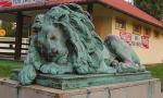 Rzeźba lwa czuwającego jest teraz w renowacji