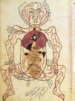 Arterie i wnętrzności człowieka,  XV-wieczny arabski rysunek anatomiczny 