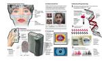 Metody rozpoznawania przestępców są coraz doskonalsze – trudniej im ukryć tożsamość. Identyfikacja człowieka odbywa się na wiele sposobów. Służą do tego nie tylko badania DNA, ale również tzw. techniki biometryczne (oparte na cechach fizycznych). Coraz więcej państw wprowadza je do użytku. W ciągu dziewięciu lat połowa mieszkańców Wielkiej Brytanii będzie się legitymowała dokumentami tożsamości z odciskami palców. Podobne paszporty będą mieli wkrótce Polacy.