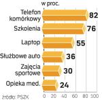 Co dają pracodawcy. Telefon komórkowy jest najbardziej popularnym, ale najmniej cenionym bonusem w polskich przedsiębiorstwach. 