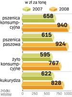 Ceny zbóż . Najbardziej wzrosły w ciągu ostatniego roku ceny pszenicy paszowej. 