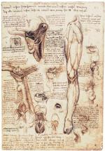 Studium anatomiczne Leonarda: język, gardło, przełyk, krtań i mięśnie nogi	