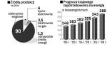Polska energetyka oparta jest na węglu